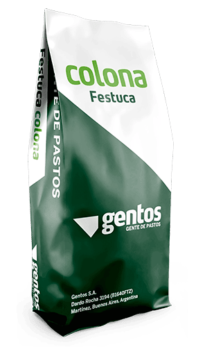 Gentos-GRAMINEAS-FESTUCA-Blend-Colona