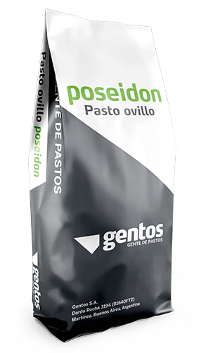 Gentos-GRAMINEAS-PASTO-OVILLO-poseidon