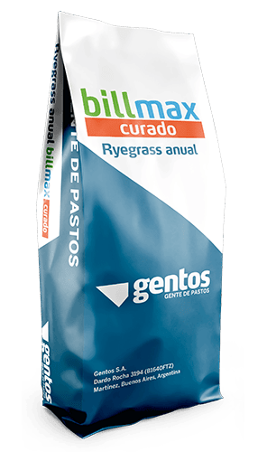 Gentos-Gramineas-RUE-GRASS-ANUAL-BILL-MAX-CURADO