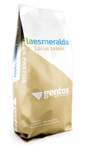 Gentos-LEGUMINOSAS-LOUTS-Tenuis-La-Esmeralda