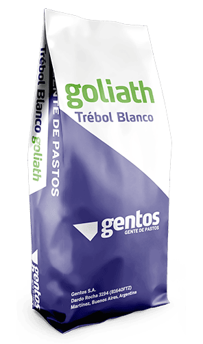 Gentos-LEGUMINOSAS-TREBOL-BLANCO-Goliath