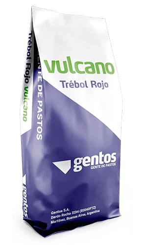 Gentos-LEGUMINOSAS-TREBOL-rojo-Vulcano