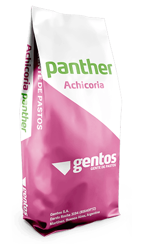 Gentos-Leguminosas-achicoria-panther