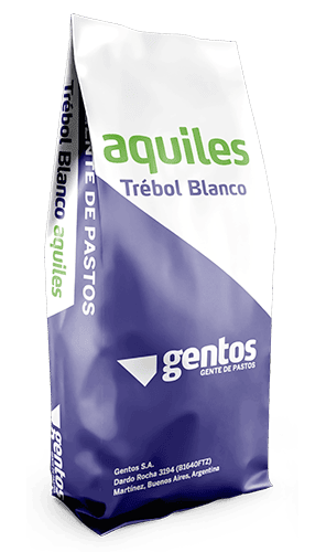 Gentos-Leguminosas-trebol-blanco-Aquiles